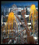 Farolas en West 38th Street