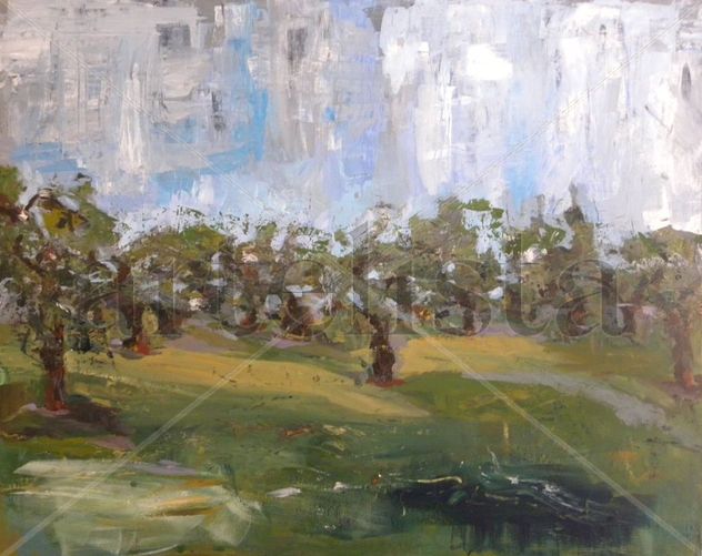 CAMPOS DE OLIVOS