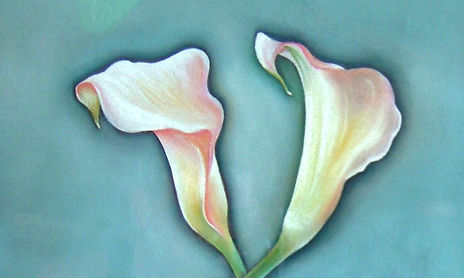 Flores