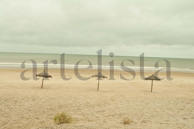 El viento me confió cosas