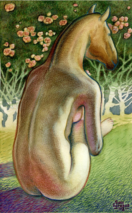 Mujer caballo de...