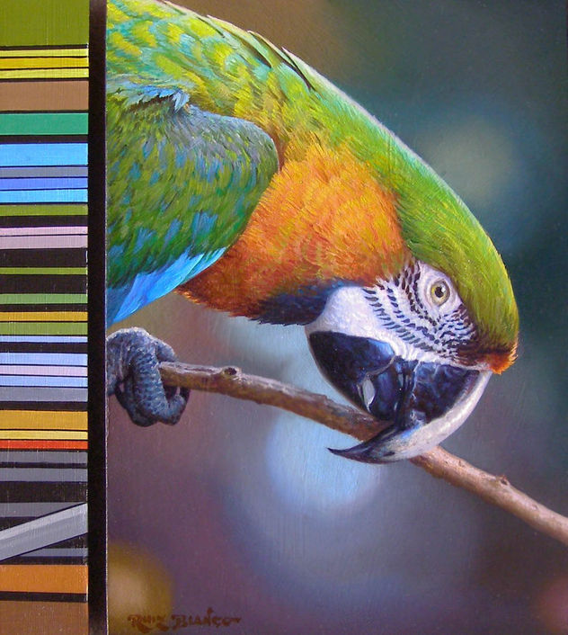 PAJARO 1 CODIGO DE COLOR