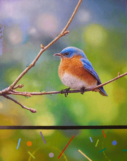 Pajaro 3 codigo de...