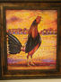 Gallo en atardecer