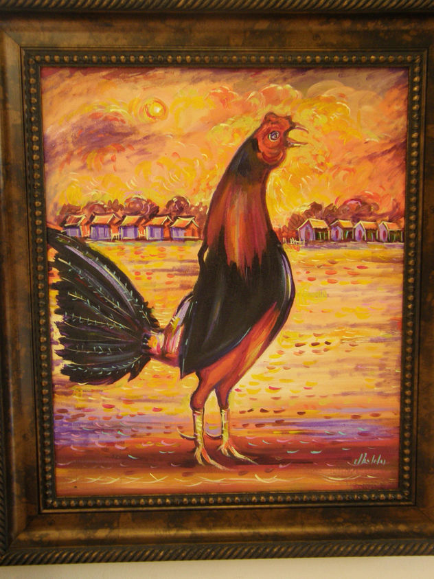Gallo en atardecer