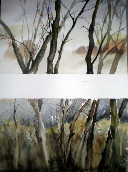 Fragmentos de bosque