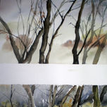 paisaje thumbnail 1