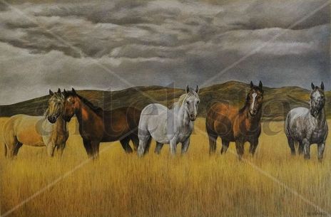 La Pradera