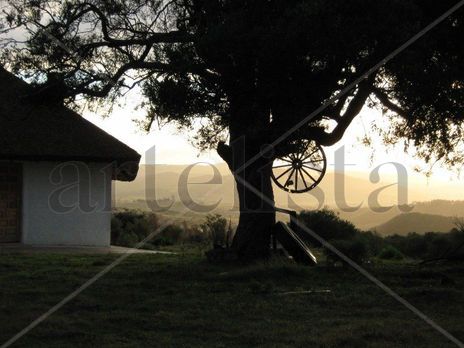 Atardecer en las...