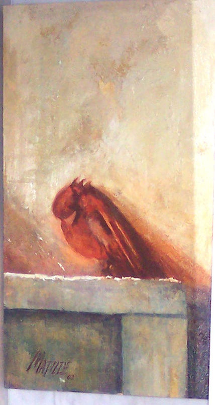 Pajaro