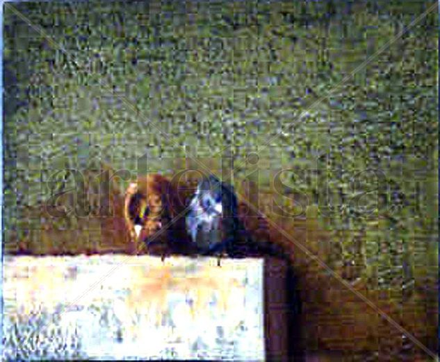 Pajaros Oil Canvas Still Life Paintings