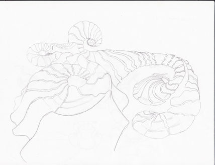 Formas 4