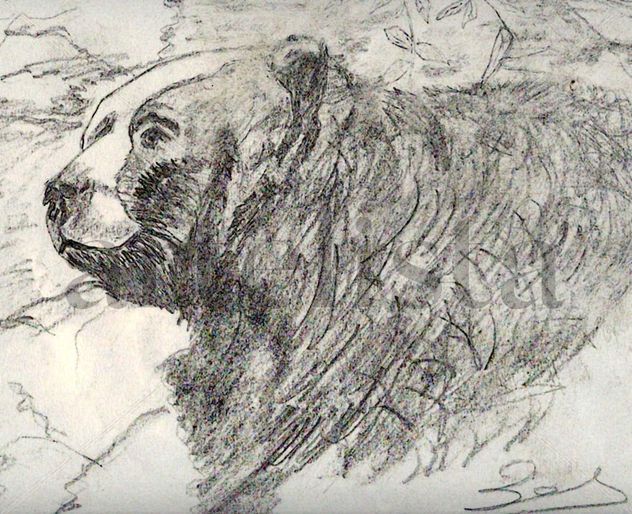 OS, OSO.