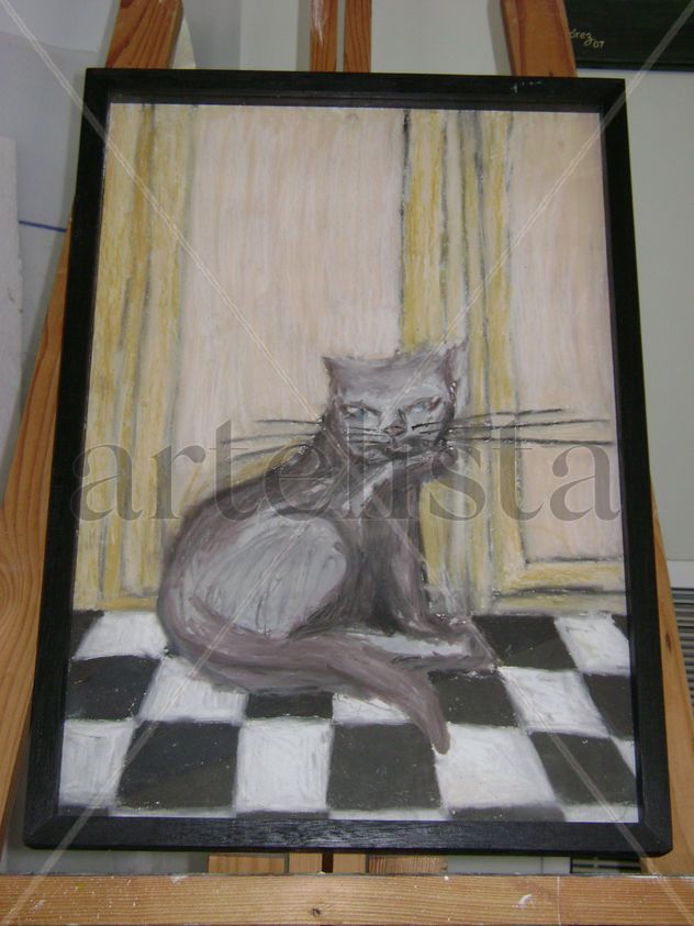 Gato en a cocina