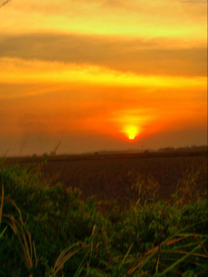 Atardecer LLanero