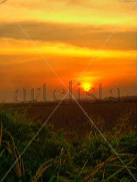 Atardecer LLanero