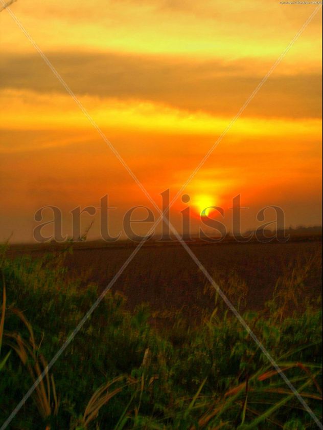 Atardecer LLanero