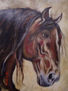 CABALLO