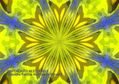 PRIMAVERA DIGITAL
