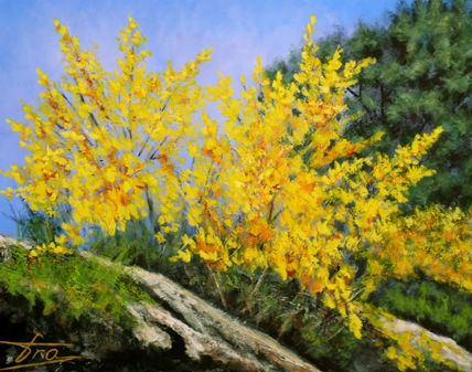 Primavera RETAMAS