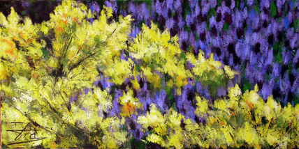 Primavera LAVANDA