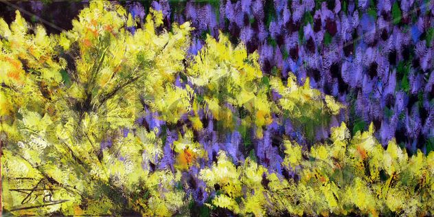 Primavera LAVANDA