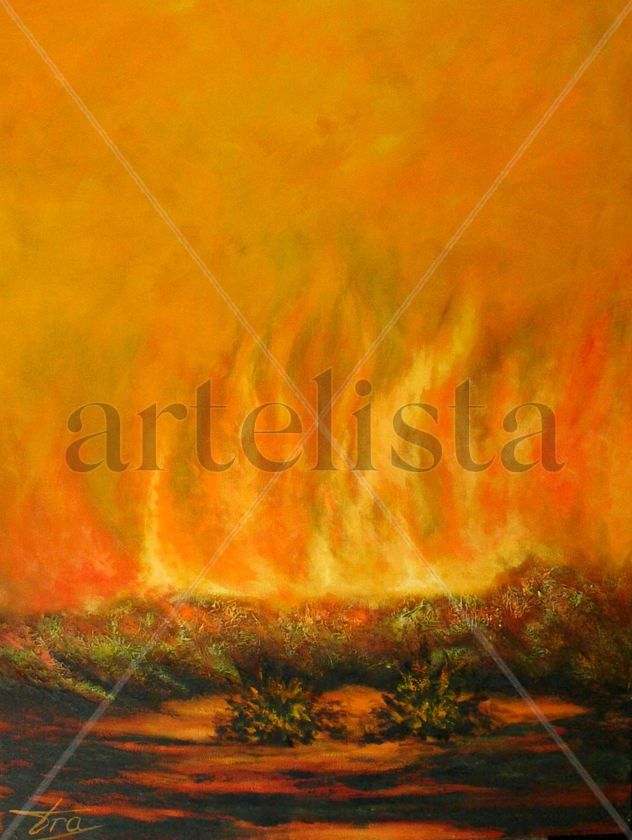 Verano INCENDIO