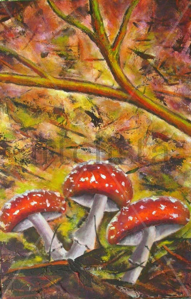 Otoño SETAS