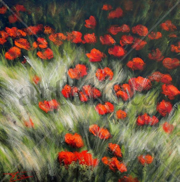 Verano ROJO SOBRE NEGRO