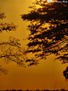 Hermoso Amanecer