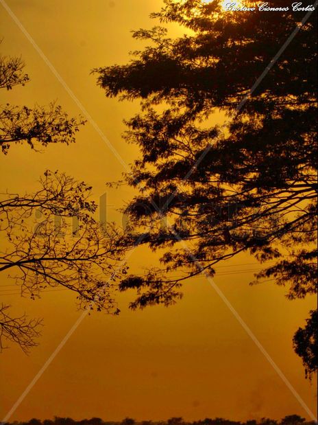 Hermoso Amanecer