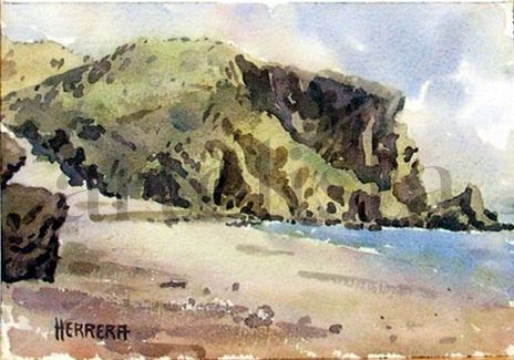 Cala del Barronal -...