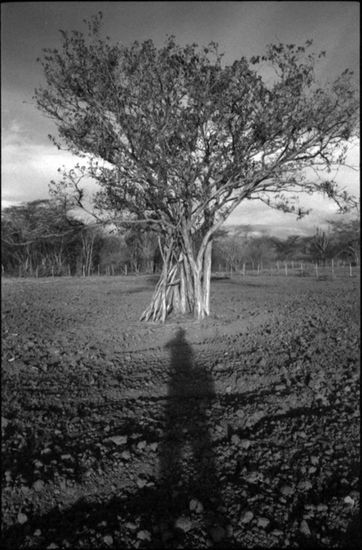 De la serie: Venezuela Cotidiana Fotoperiodismo y documental Blanco y Negro (Química)