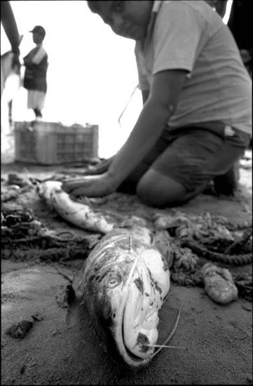 De la serie: Venezuela Cotidiana Photojournalism and Documentary Black and White (Manual)