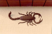 Escorpion de 3...