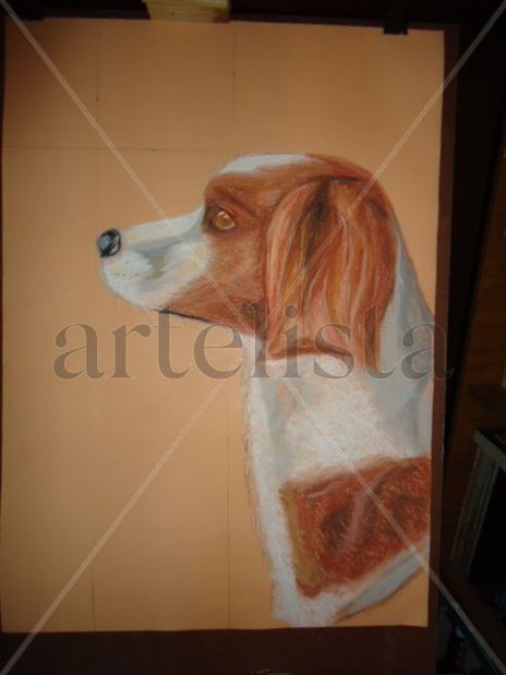 Mi mascota