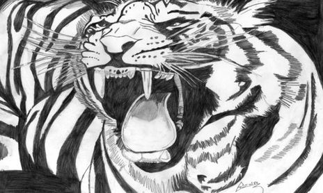 Animales