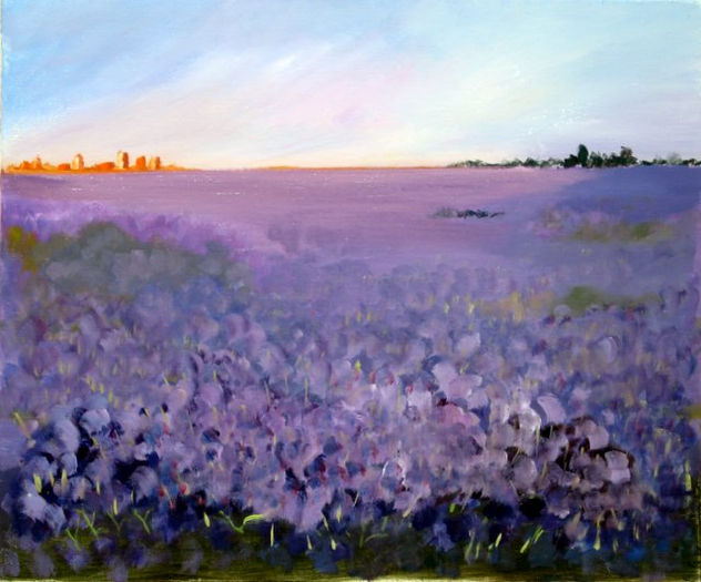 CAMPO DE FLORES EN TÚNEZ