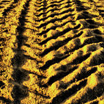Coleccion llanera thumbnail 2