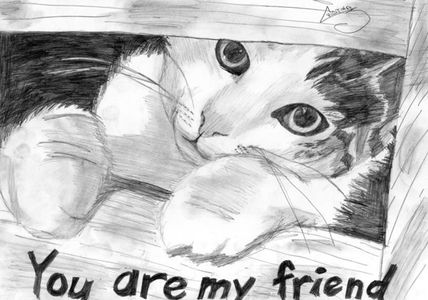 Friends