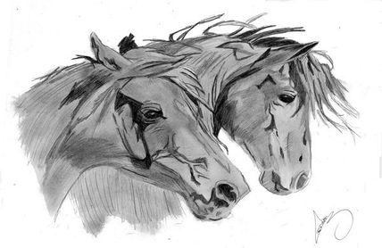 Caballo