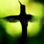 HOME thumbnail 1