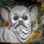 Perro chihuahueño plateado
