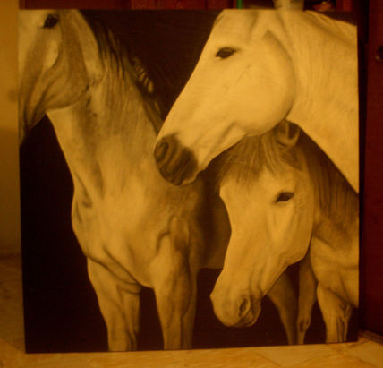 Caballos blancos