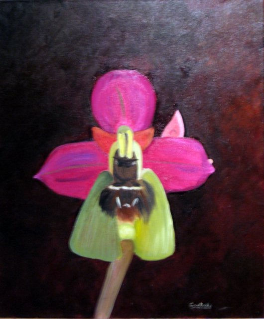 ORQUÍDEAS -5