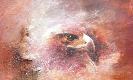 Animales