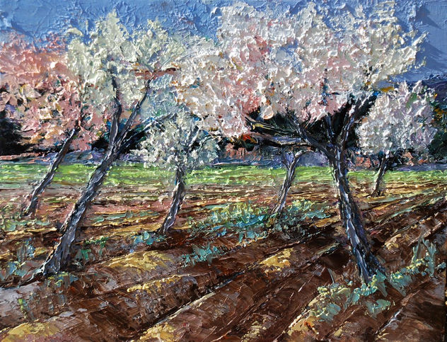 Camp d'Ametllers - Campo de Almendros