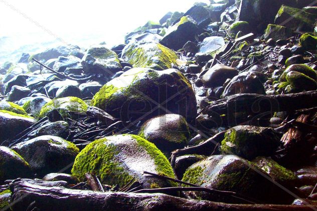 ROCAS