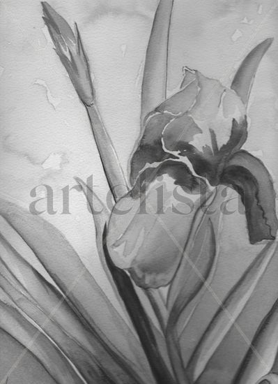 LIRIO EN BLANCO Y NEGRO Ink Paper Floral Painting