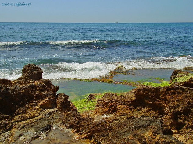 10-06.066.2 - Buscandola en el mar - junio 2010. Naturaleza Color (Digital)